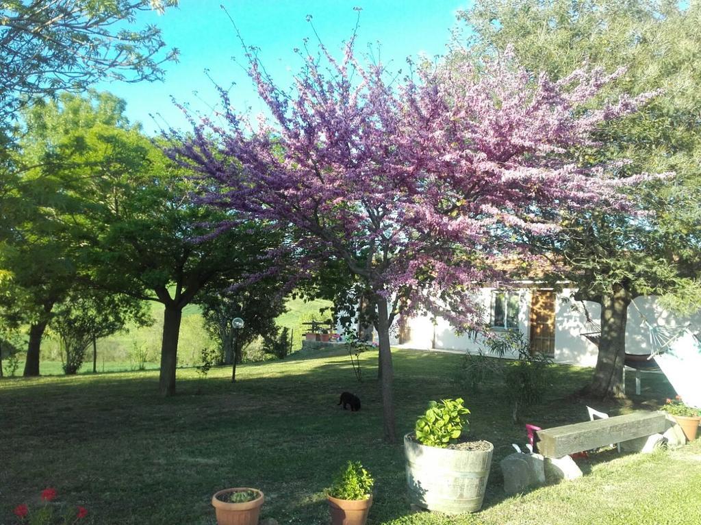 Agriturismo Da Remo Magliano in Toscana Zewnętrze zdjęcie