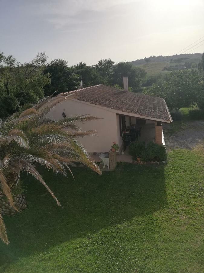 Agriturismo Da Remo Magliano in Toscana Zewnętrze zdjęcie